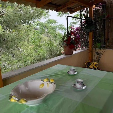 公寓 Villino Norsi *