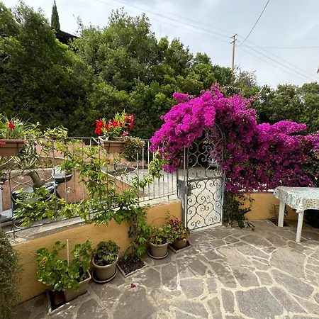 公寓 Villino Norsi 费拉约港