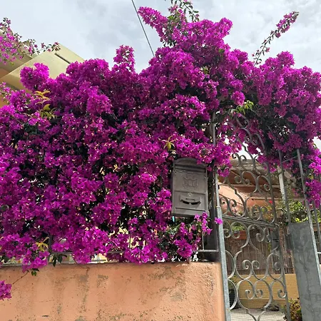 Villino Norsi 费拉约港