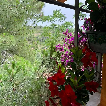 Villino Norsi * 费拉约港