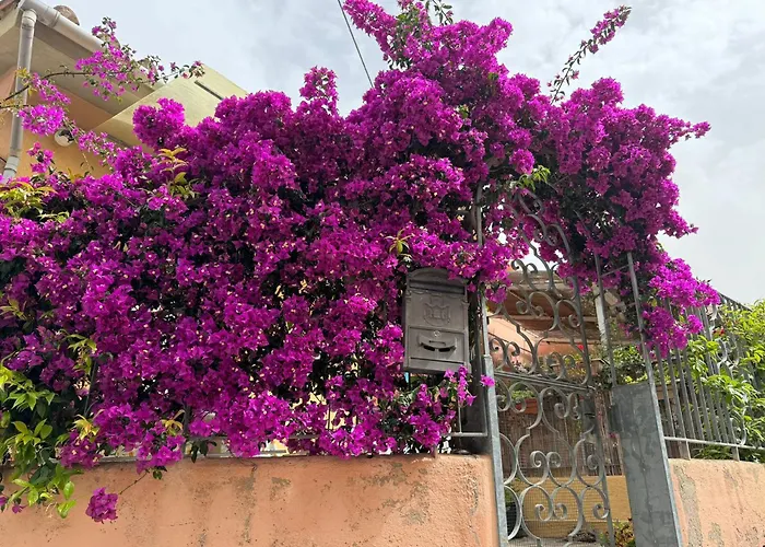 Villino Norsi Portoferraio