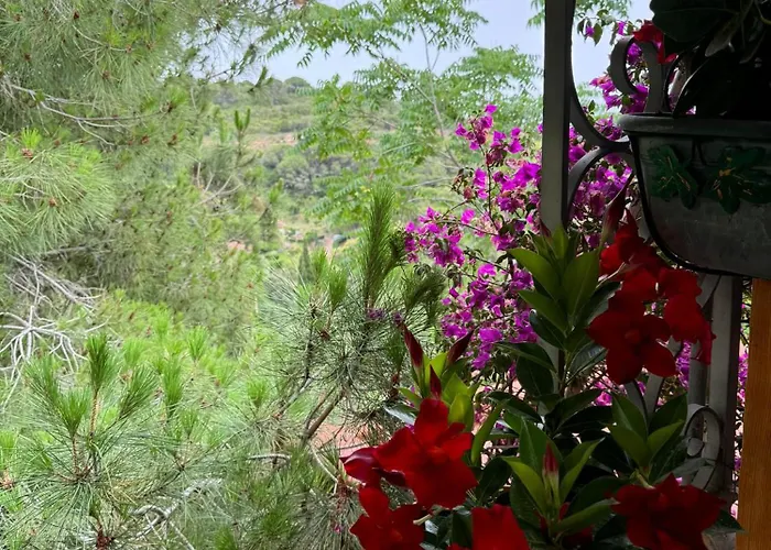 Villino Norsi * Portoferraio