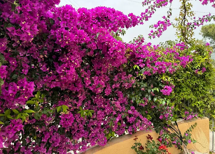 Villino Norsi * Portoferraio